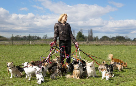 - Gassi | Kleinanzeigen Hundemarkt