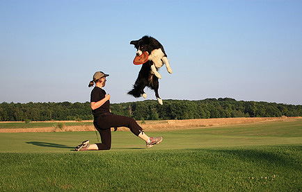 Auf einem Hundesportplatz kann man neben dem Agility Training natürlich noch andere Hundesportarten wie z.B. Discdogging ausüben. 