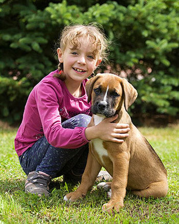 Paare mit Kindern sollten vor dem Hundekauf besonders genau überlegen, welche Hunderasse sich eignet.