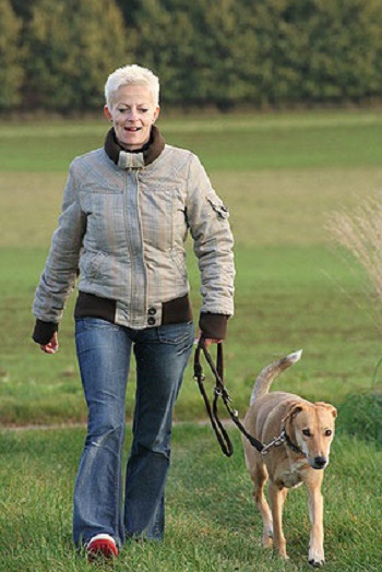 Wer einen Hund kaufen will, sollte vorher auch überlegen, ob er genügend Zeit für den Hund, z.B. tägliche Gassigänge, hat.