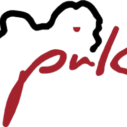 Logo-PUK_freigestellt
