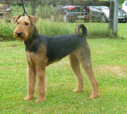 Betty-300x225 - Kopie