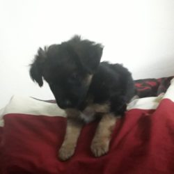 IMG-20190708-WA0134