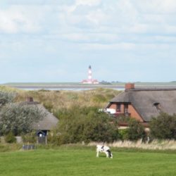 Ferienhaus Fischerkate und Strandperle St.Peter-Ording