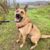 arko-91195-65cb9144413b0