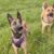 arko-91195-65cb9144d7dc3