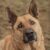 arko-129658-67ab7914830e2