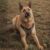 arko-129658-67ab7914b0f16
