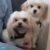 IMG-20250720-WA0007(1)