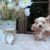 IMG-20250810-WA0025