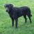 1000152437
