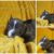 Collage_20250914_100354_edit_1741245289188990