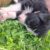 IMG-20250918-WA0016