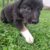 IMG-20250918-WA0006