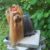 IMG-20240225-WA0017