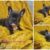 Collage_20250914_100045_edit_1741353770234807