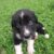 IMG-20250918-WA0012