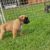 IMG-20251109-WA0013