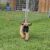 IMG-20251118-WA0031