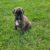 IMG-20251109-WA0003