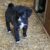 WhatsApp Bild 2025-11-16 um 12.01.29_f1aff7f1
