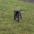IMG-20251124-WA0012