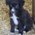 WhatsApp Bild 2025-11-16 um 12.01.30_c1b71961