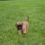 IMG-20251109-WA0012