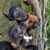 IMG-20251005-WA0005