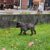 IMG-20251124-WA0013