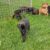 IMG-20251109-WA0009