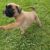 IMG-20251118-WA0032