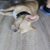 IMG-20250319-WA0006