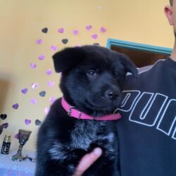 519b376e-633a-4c4f-8252-93f6f45b2145