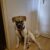 IMG-20260411-WA0051
