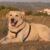 Doya_05