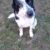 IMG-20260321-WA0090