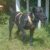 VideoCapture_20260523-181704