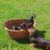 IMG-20260611-WA0003