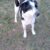IMG-20260321-WA0093