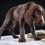 Winston_03