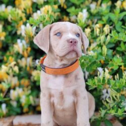 1d3b688e-54be-4049-b5ed-d67397cd89f1