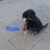 IMG-20260914-WA0005