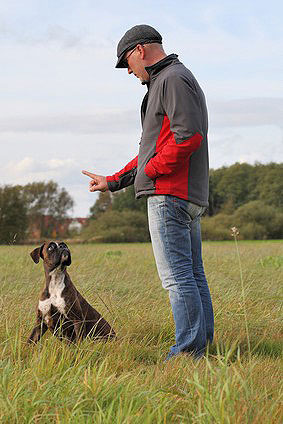 Jeder Hund braucht einen Rudelführer, der ihm die Rangordnung klar macht.