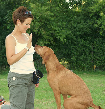 Kommando "Platz" in der Hundeerziehung beim Hund Das Kommando Platz ist eines der wichtigsten in der Hundeerziehung