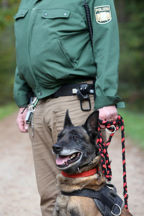 Polizeihund mit Herrchen