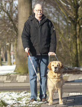 Ein Blindenhund erleichtert Sehbehinderten das Leben