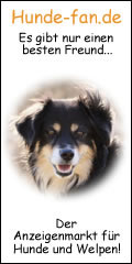 Hundebanner120_240_1