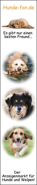 Hundebanner120_600_1