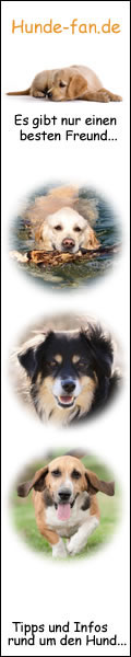 Hundebanner120_600_2
